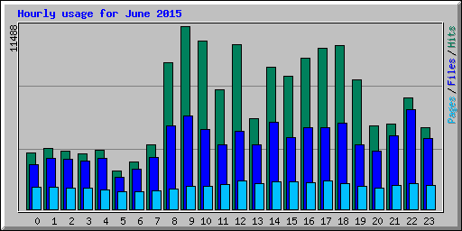 Hourly usage for June 2015